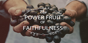 The Power Fruit of Faithfulness